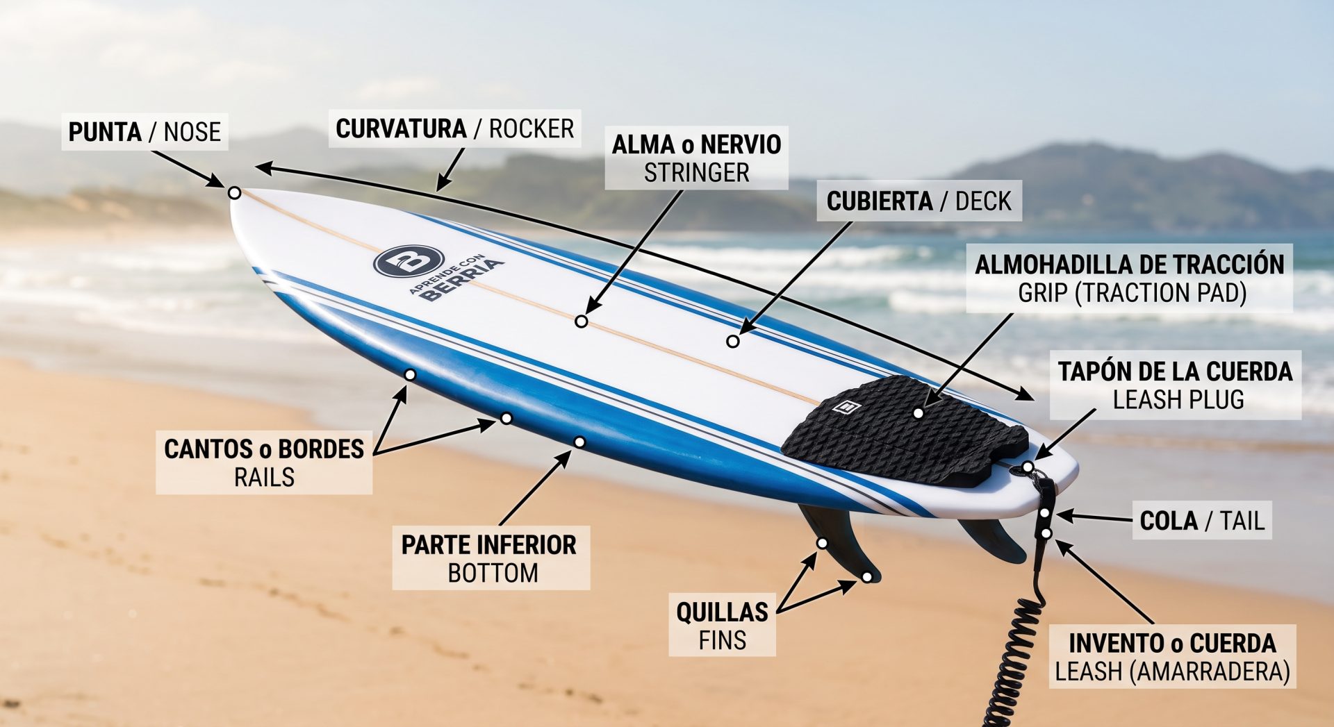 dibujo esquemático con las partes de una tabla de surf señaladas